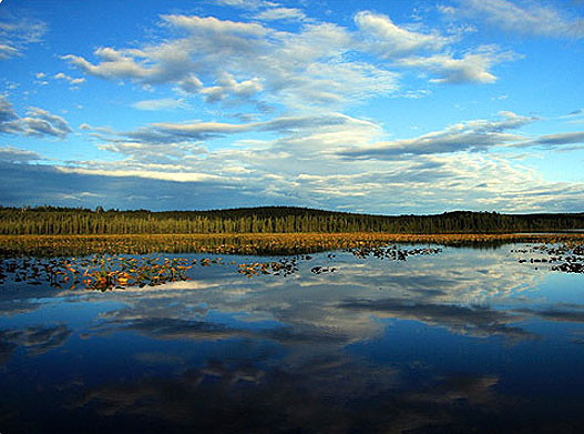 Alaska Canoe Rentals & Guided Trips image