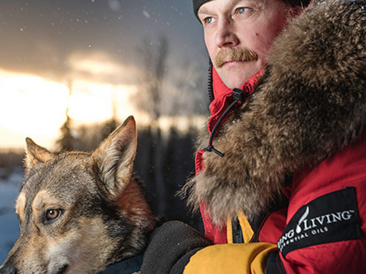 Alaska Glacier Heli Dog Sled Tour in Girdwood image