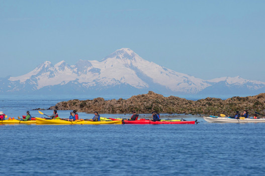 Homer Kayaking Adventure image