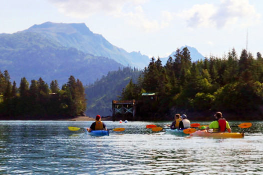 Homer Kayaking Adventure image