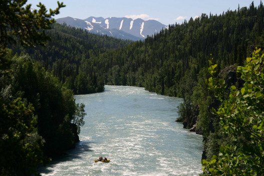 Alaska Rafting – Kenai River Canyon Raft Trip image