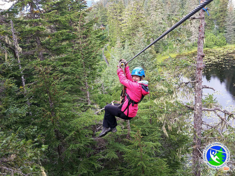 Seward Zipline & Canopy Adventure 