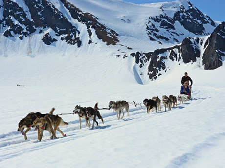 Alaska Dog Sledding Tours – Seward