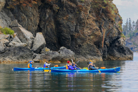 Homer Kayaking Adventure