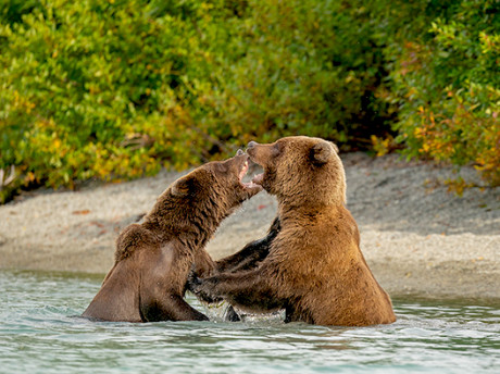 Alaska Travel Package #7