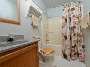 Kenai Lodging - Silvertip Soldotna Alaska Cabin Rentals - Cabin 1 Bathroom