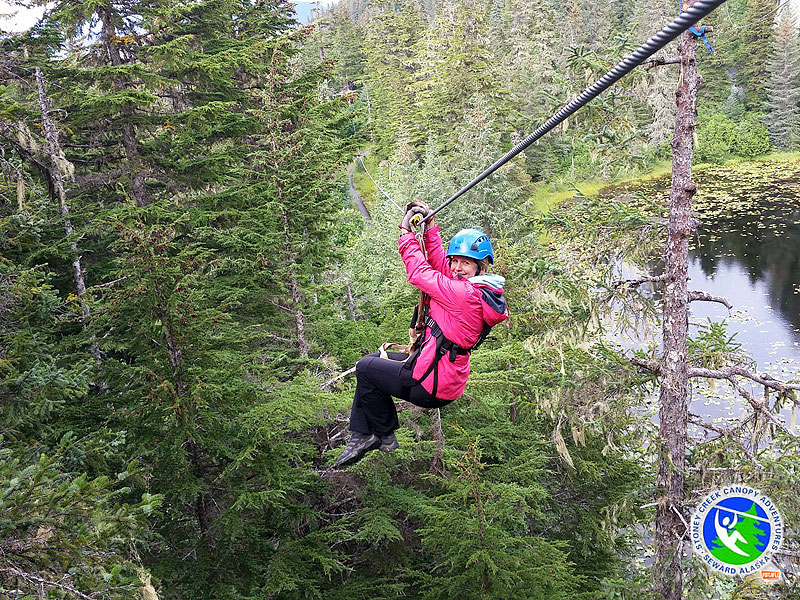 Seward Alaska Zipline & Canopy Adventure 