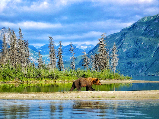 Alaska Travel Package #6 image